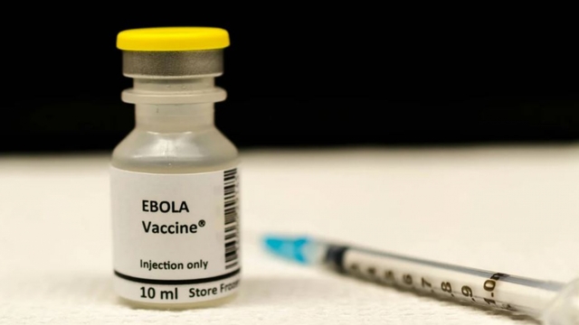 Vaccine Ebola có thể được đưa vào thử nghiệm trong vòng 3 tháng tới