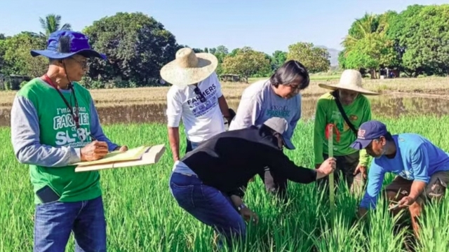 Vietnam, Philippines further boost cooperation in food security