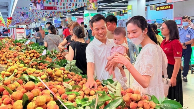 Central Retail expands nationwide distribution of Bac Ninh lychees