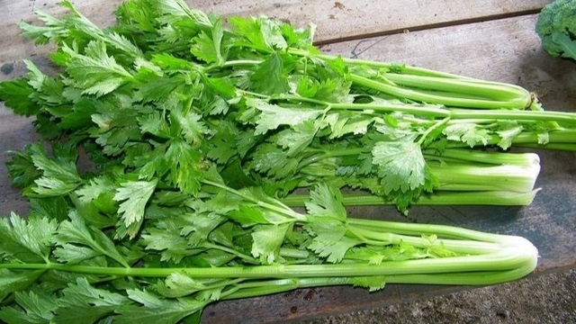 Muốn giải nhiệt, hỗ trợ gan khỏe mạnh, nên bổ sung ngay 4 loại rau này
