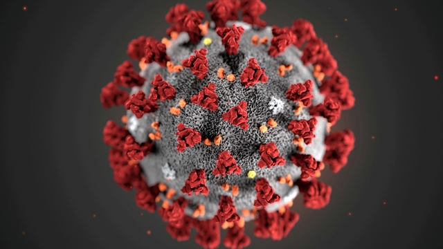 Thái Lan siết chặt kiểm soát y tế với hành khách đến từ vùng dịch Ebola