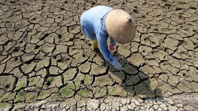 El Nino có thể quay trở lại từ giữa 2026, chủ động ứng phó hạn hán, xâm nhập mặn