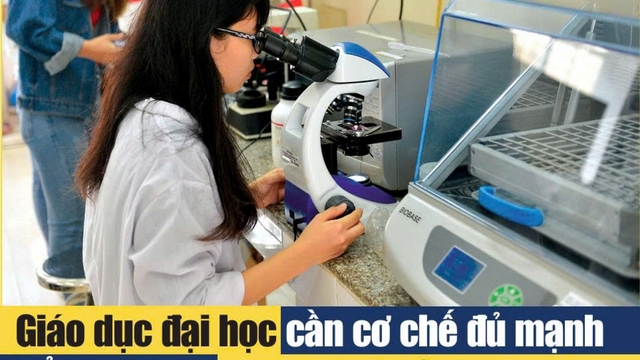 Ấn phẩm Tiếng nói Việt Nam số 21(2040) - Thứ Năm ngày 21/5/2026