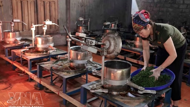 Private economic sector poised for breakthrough growth