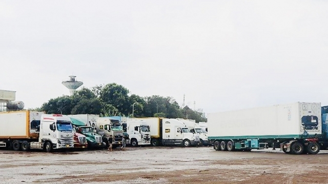 Xe container chở sầu riêng ùn ứ ở Dầu Giây: Chính quyền khẩn cấp giải tỏa