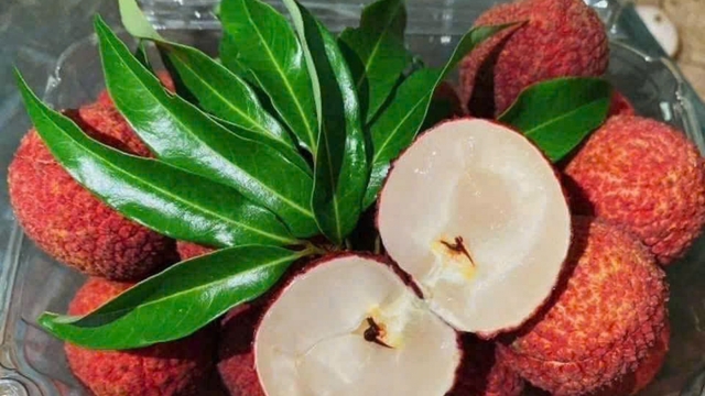 Vải không hạt khan hiếm, giá tăng lên 800.000 đồng/kg, khách đặt trước vẫn khó
