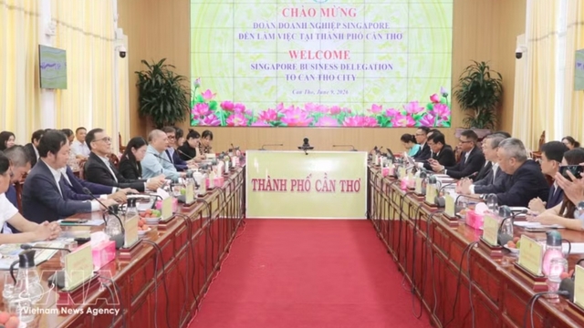 Can Tho invites Singaporean firms to invest in industry, energy, logistics