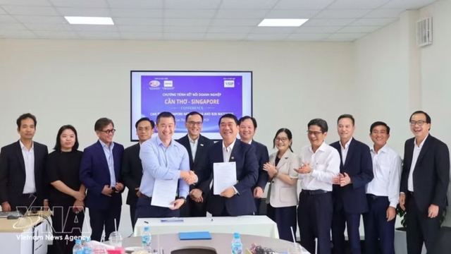 Singaporean businesses explore investment opportunities at VSIP Can Tho