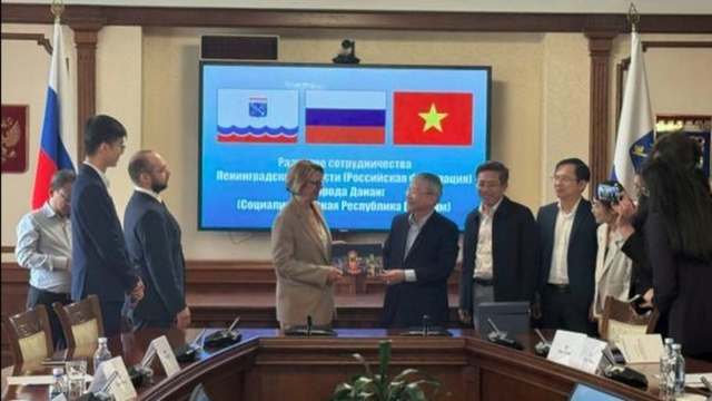 Da Nang seeks Russian investment in free trade zone, financial centre