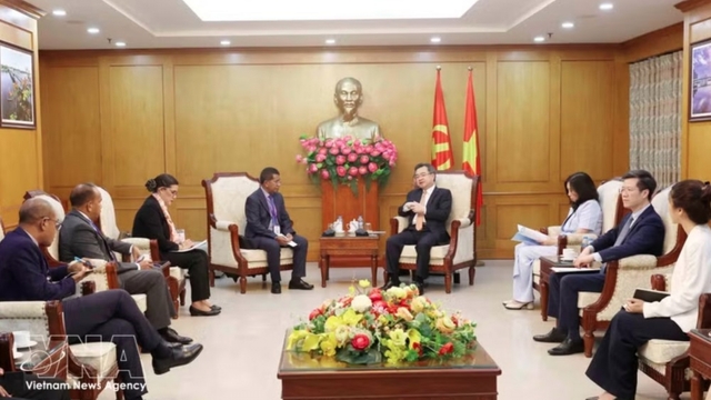 Vietnam, Timor-Leste share experience in Party building, national governance