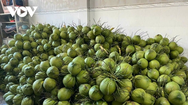 Vietnamese coconuts arrive in China via cross-border refrigerated rail route
