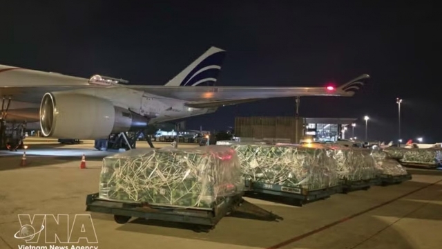 Vietnam seeks new export pathways to Middle East, South Asia