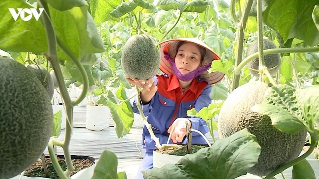 Vietnam sets new direction for green, digital and sustainable agriculture
