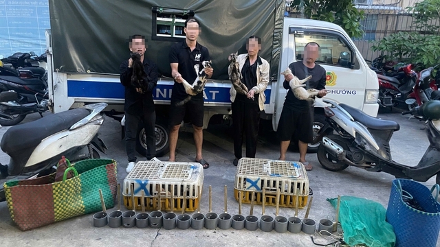 Triệt phá đường dây trộm và tiêu thụ mèo, giải cứu khoảng 400 con mèo còn sống