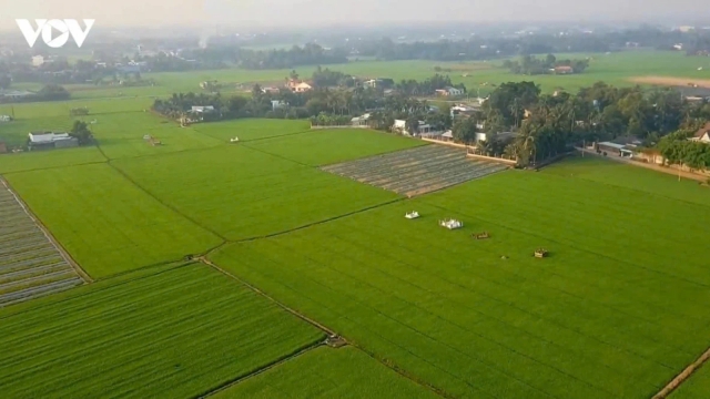 Kế hoạch triển khai chính sách đặc thù để xử lý vi phạm đất đai trước năm 2024