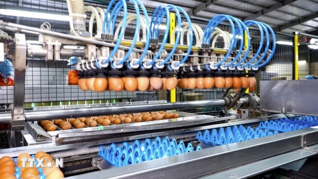 Tay Ninh expands investment opportunities with Belgium