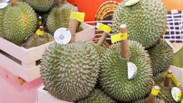 Lô hàng nông sản ASEAN cập Cảng đường sắt quốc tế Nam Ninh (Trung Quốc)