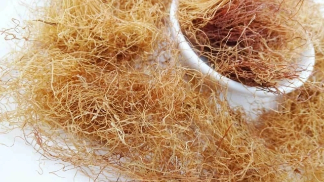 Vị thuốc dưỡng gan, bổ cho tim mạch, nhiều người không biết vẫn hay vứt bỏ