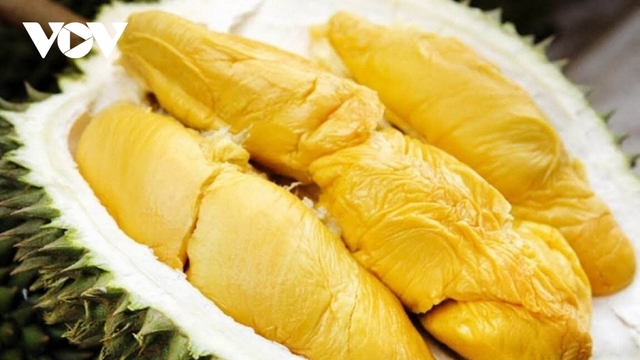 Xuất khẩu nông nghiệp trong 5 tháng bứt tốc, đạt gần 31 tỷ USD
