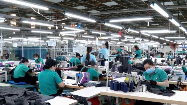 Vĩnh Long đẩy mạnh phát triển doanh nghiệp và kinh tế tập thể