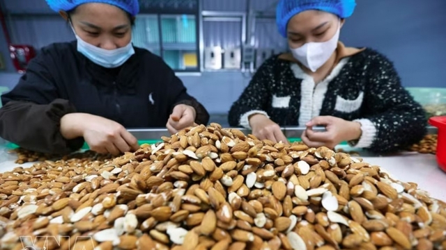 Vietnam moves to tackle double challenge in FDI attraction in next phase