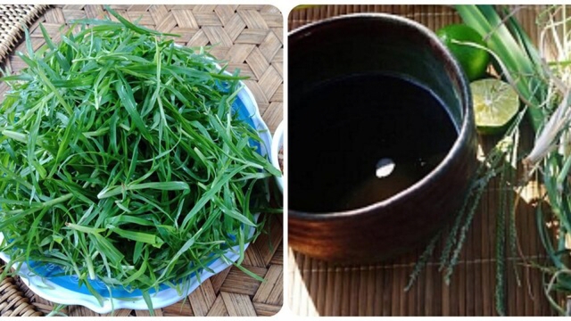 Cỏ mần trầu nấu nước uống có tác dụng gì?