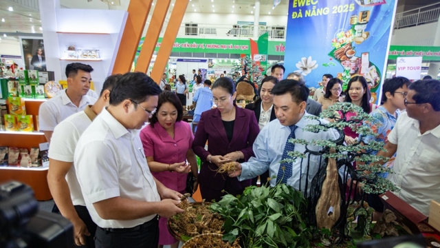 EWEC Da Nang international trade fair 2026 to feature 350 booths