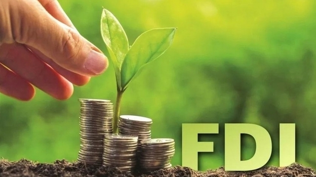 Green FDI attraction: Vietnam needs strategic solutions over incentives at all costs