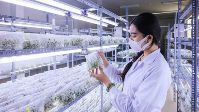 Nghị quyết 57/NQ-TW: Đột phá là đời sống của người dân được cải thiện rõ rệt hơn