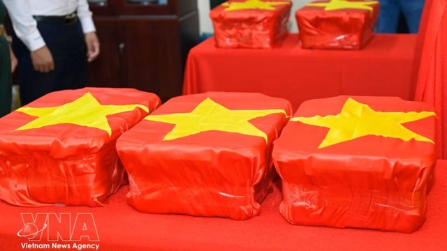 Ca Mau transfers first DNA samples from unidentified martyrs' remains for analysis