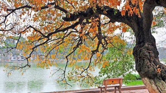 Thu quyến rũ