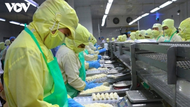 Shrimp exports gain momentum as China demand soars