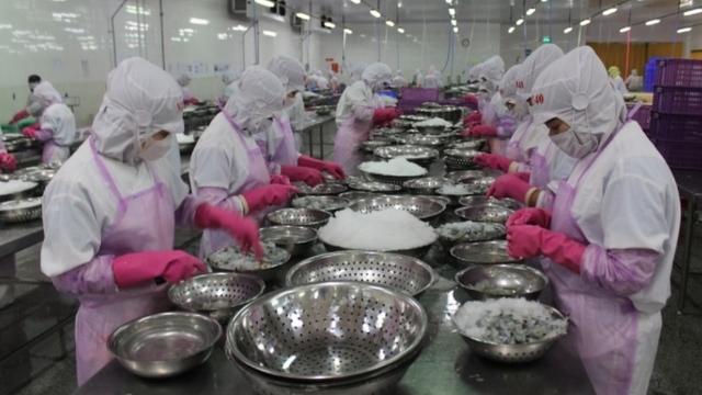 China overtakes US as top market for Vietnamese seafood exports