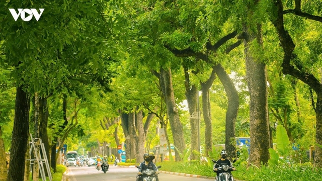 Thời tiết ngày 16/7: Bắc Bộ có mưa dông cục bộ, Tây Nguyên và Nam Bộ có mưa rào