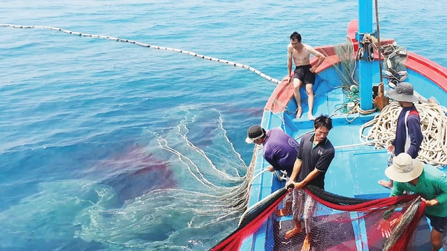 Tăng tốc gỡ “thẻ vàng” IUU, xây dựng nghề cá bền vững