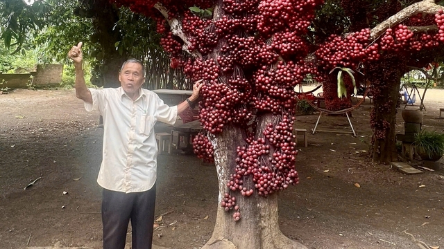 Cây Di sản mở hướng phát triển du lịch Vân Hòa, Đắk Lắk