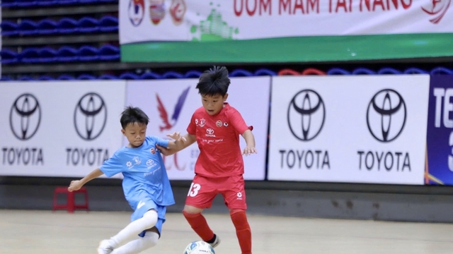 Lịch thi đấu và trực tiếp bóng đá Việt Nam hôm nay 14/8