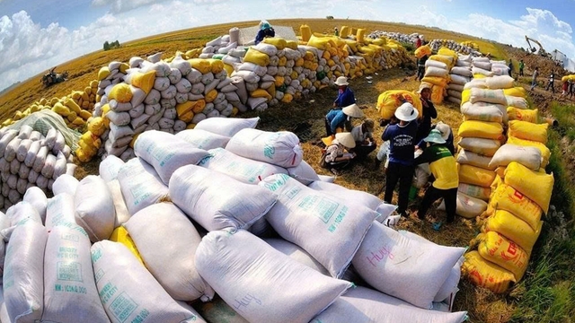 Quy định về nhập, xuất hàng dự trữ quốc gia