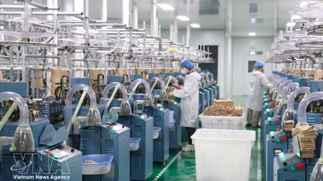 Fewer than 200 FDI enterprises in Vietnam subject to global minimum tax