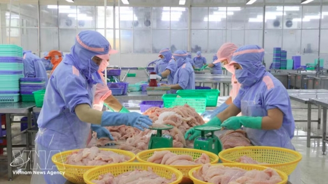 Vietnamese goods gain wider access to EU market