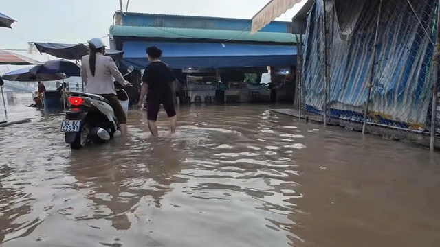 Triều cường tại Vĩnh Long tiếp tục dâng cao, cảnh báo ngập vùng trũng thấp