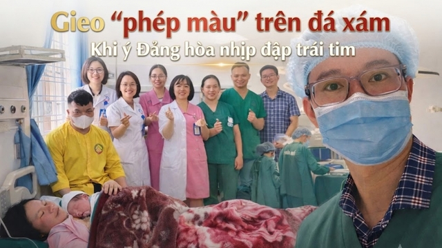 "Gieo “phép màu” trên đá xám: Khi ý Đảng hòa nhịp đập trái tim"