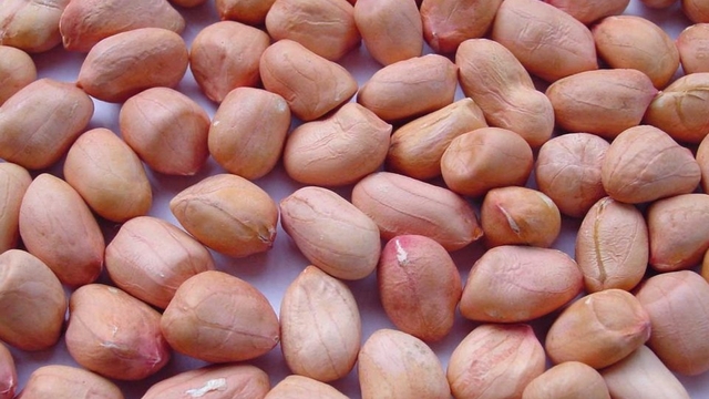 Ăn lạc sống có khiến cơ thể nặng mùi?