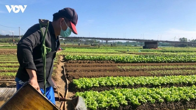Cơ chế phát triển sản xuất liên kết theo chuỗi giá trị