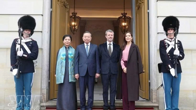 Top Vietnamese leader concludes state visit to Denmark