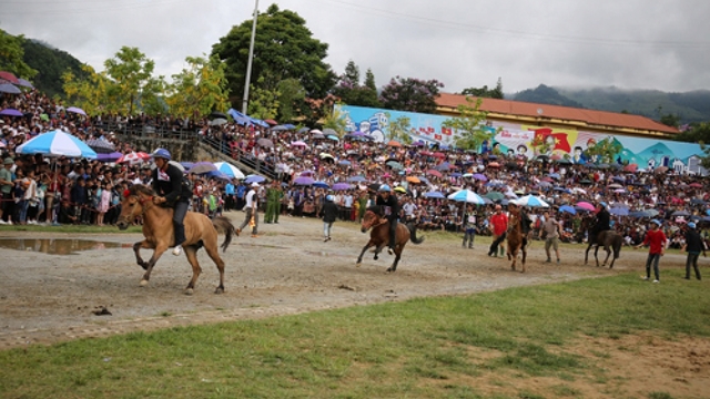 Sapa to host debut Fansipan horse race