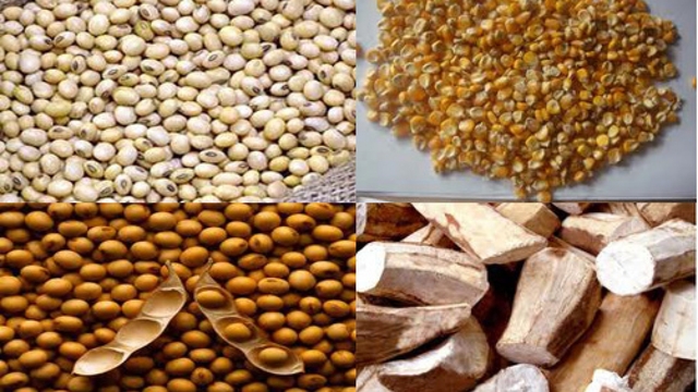 Animal feed, corn imports from Argentina account for large share