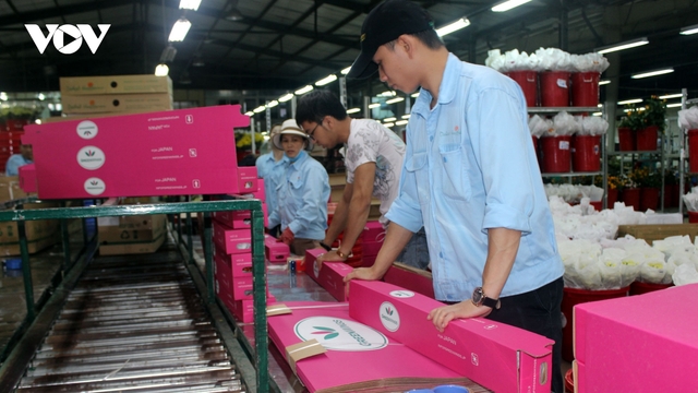 Khởi nghiệp nông nghiệp: Yếu tố công nghệ đón đầu nông nghiệp số