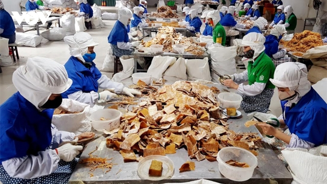 Xây dựng chính sách đột phá để phát triển kinh tế tư nhân