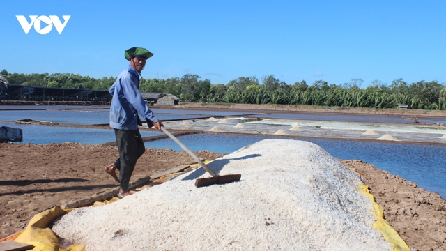 Diêm dân không vui vì muối mất mùa, rớt giá